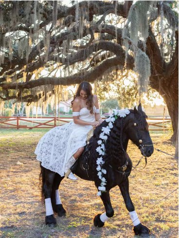 Bride riding a black Friesian horse beneath live oaks draped in Spanish moss