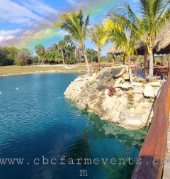 Turquoise spring-fed lagoon with palms and limestone rock edging