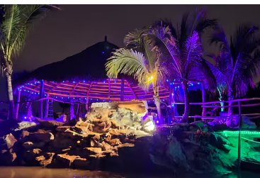 Palm trees uplit in purple and green around the island at night